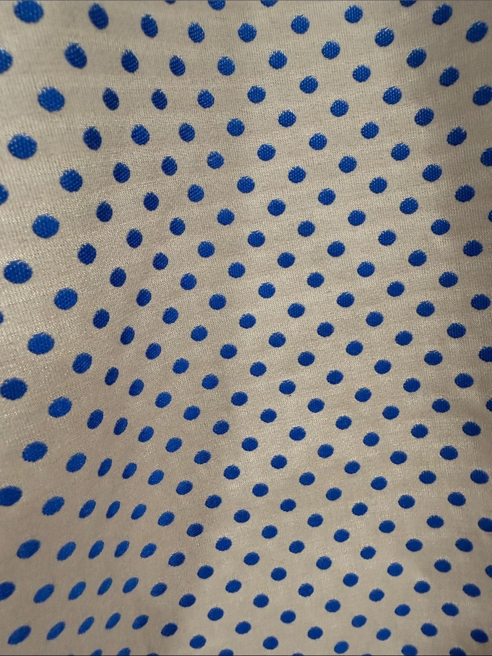 J. Crew grey and blue polka dot skirt